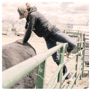 Farm Animal Adjusting Sept 29- Oct 1, 2023 – Mancos, Colorado – 15 CE (pending)