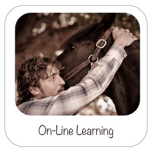 ON-LINE Upper Cervical Biomechanics in the Equine (3CEs) AVCA/IVCA approved